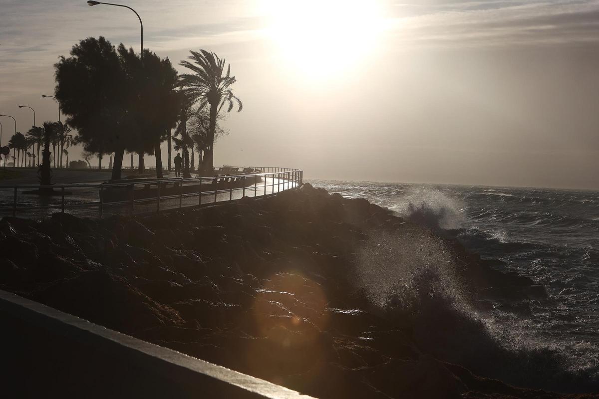 Fuerte oleaje causado por el viento, en Palma.