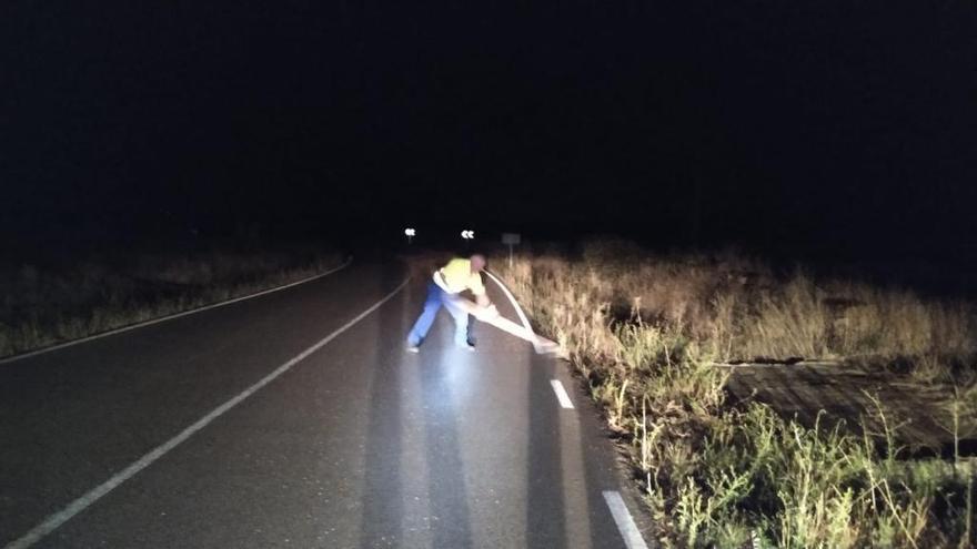 Un operario, durante las labores de recogida durante la pasada noche.