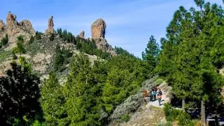 Gran Canaria sopesa implementar una tasa para acceder al Roque Nublo