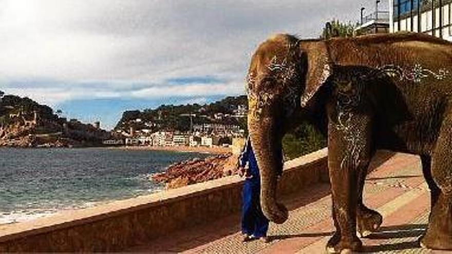 Una elefanta es passeja per la Mar Menuda de Tossa de Mar