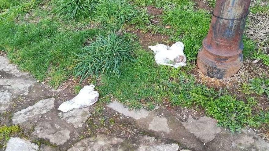 Bolsas con excrementos de perro al lado de una farola del Pontiñas.