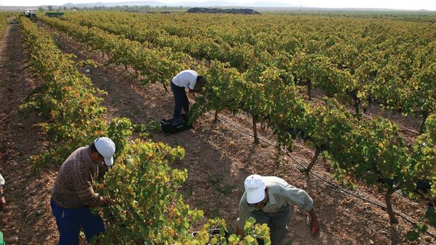 La Agencia de Control Alimentario impone 13 sanciones en Aragón