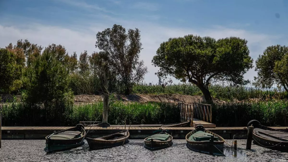 Acció Ecologista-Agró denuncia el grave deterioro de l’Albufera por vertidos de aguas residuales al Port de Catarroja tras la dana