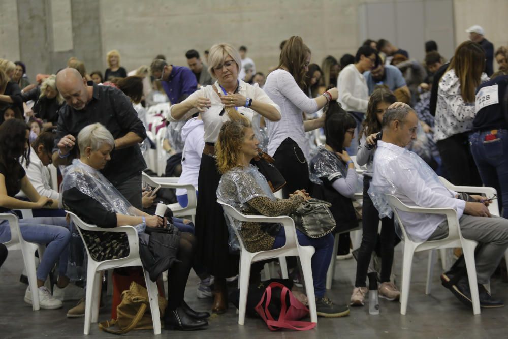 Corte de pelo simultáneo en València