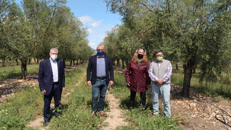 Jaume Alzamora, Joan Font, Tiffany Blackman y Joan Mayol, en la finca Aubocassa de Manacor.