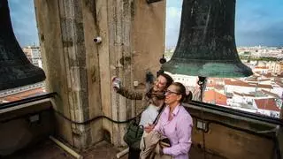 Unas 1.500 personas visitan de media cada mes la torre de la Catedral de Badajoz