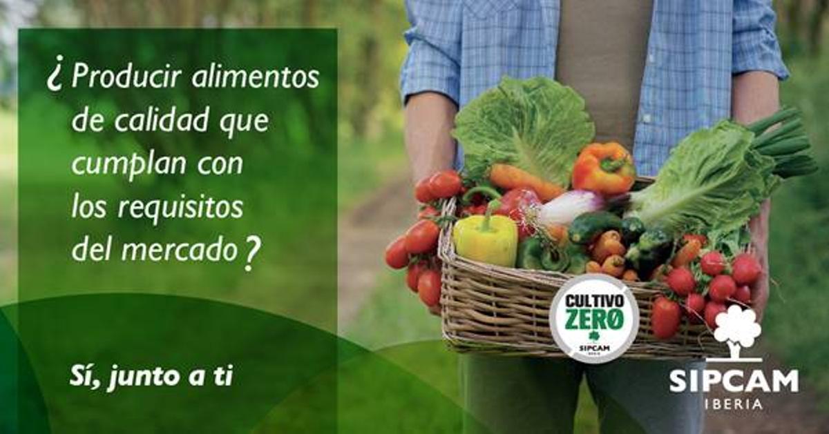 SIPCAM Iberia ha impulsado el programa de Cultivo ZERO que ayuda a los hortícultores a cumplir los requisitos del mercado.