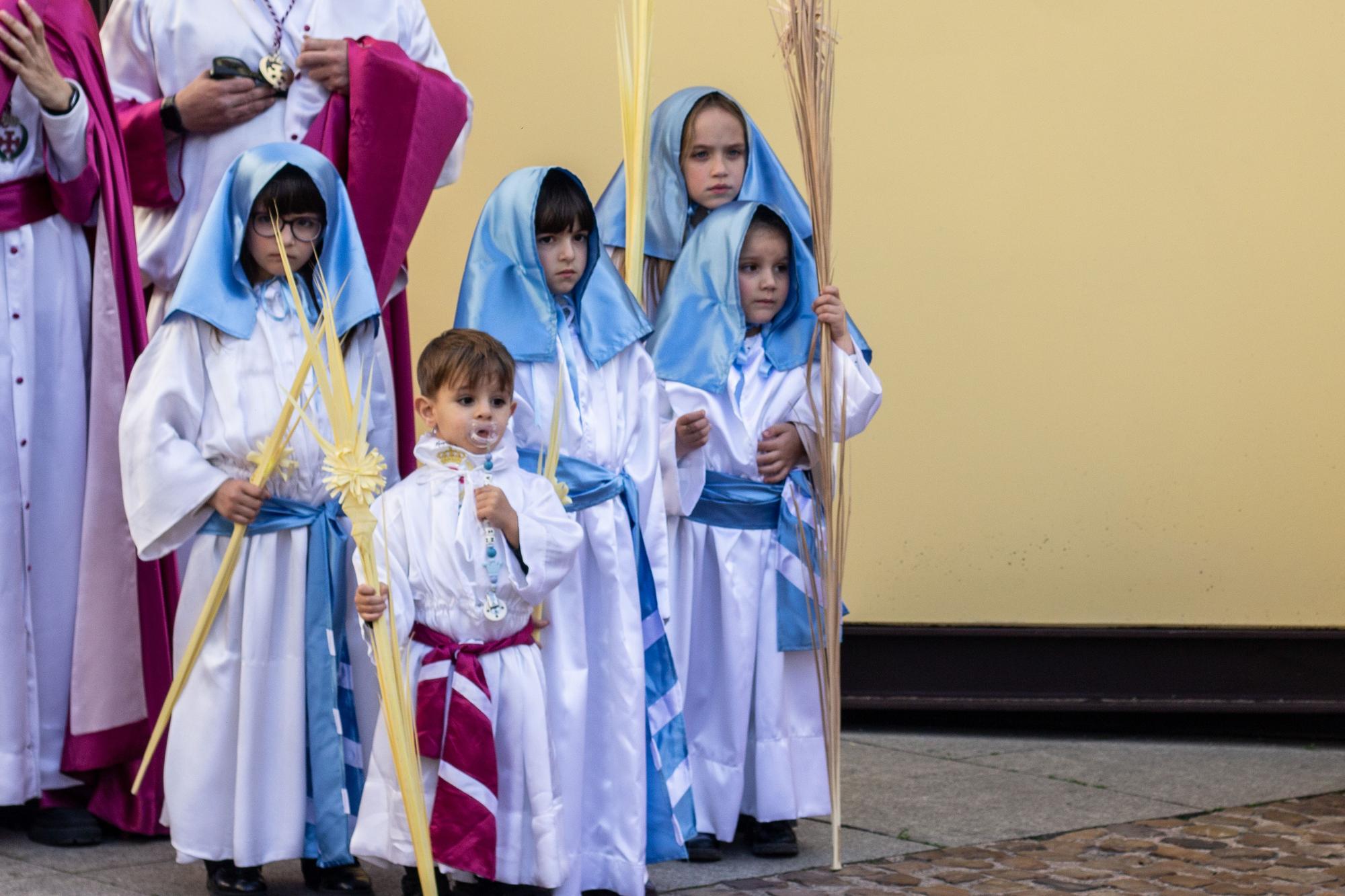 ZAMORA.DOMINGO DE RAMOS