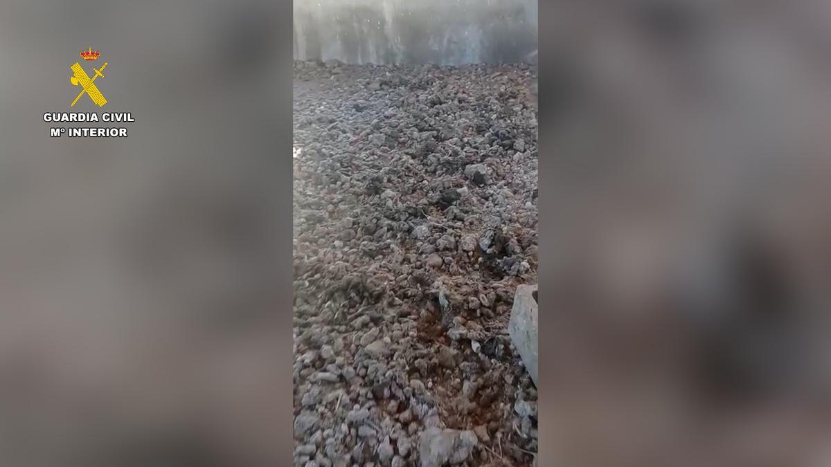 Heces acumuladas en la perrera de los horrores del Somontano.