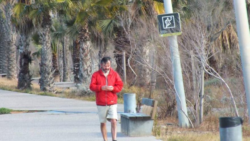 Preemergencia en el interior por vientos de 80 km/h