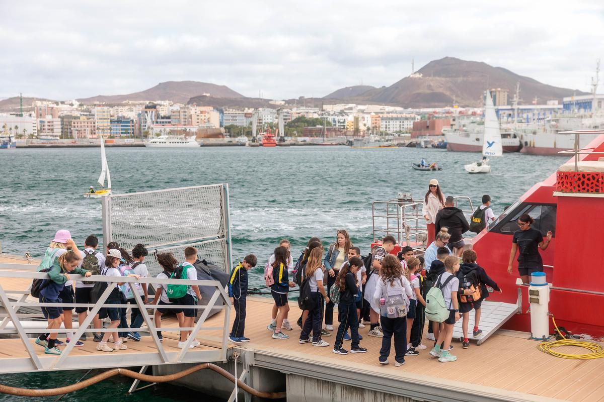 Fimar estrena su 15º edición en Las Palmas de Gran Canaria