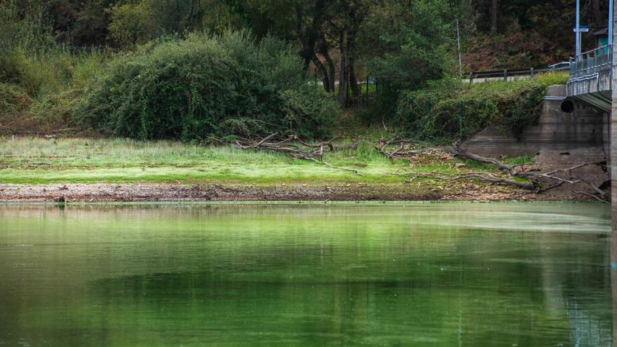 Aguas del embalse de Cecebre a finales del mes pasado, con tono verdoso por la proliferación de bacterias.   | // CASTELEIRO/ROLLER AGENCIA