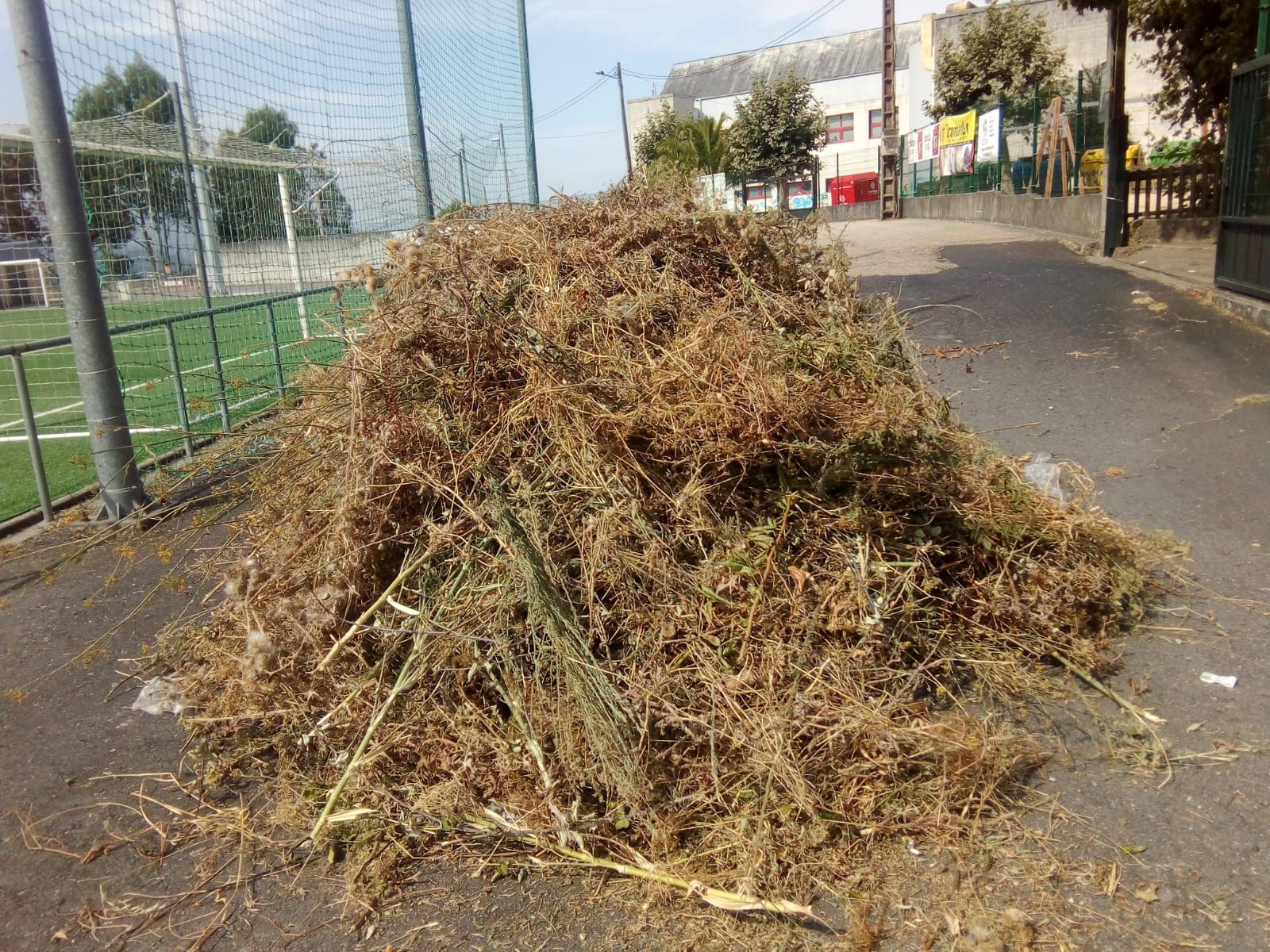 De tragarse los balones a invadir el campo: así se defiende de la selva el Racing de Castrelos