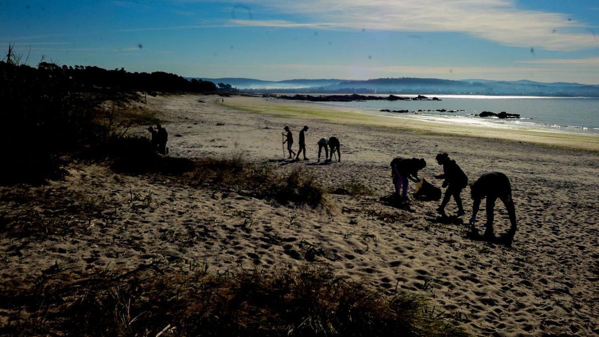 Una limpieza anterior organizada por el IES As Bizocas en la playa de Area da Cruz.