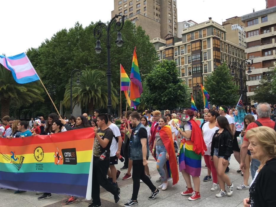 Manifestación del Orgullín del Norte.