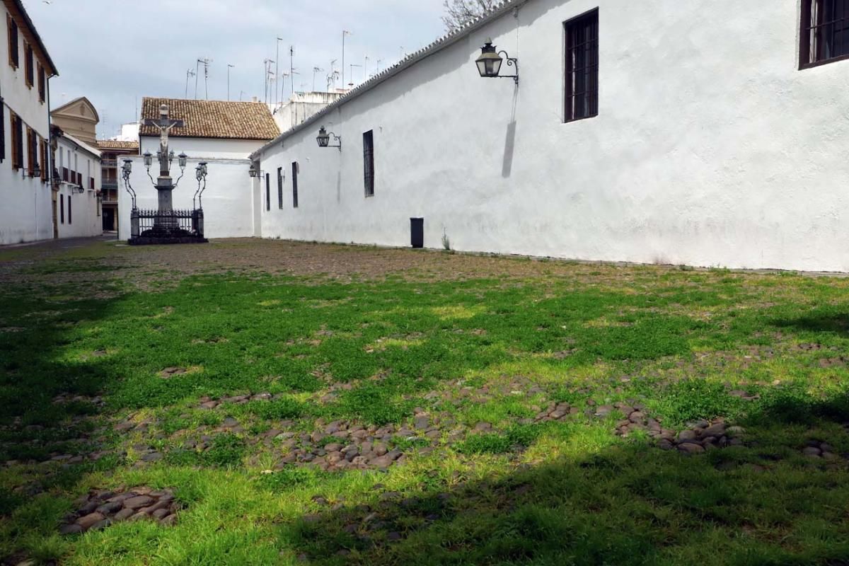 El día en el que reinó el verde