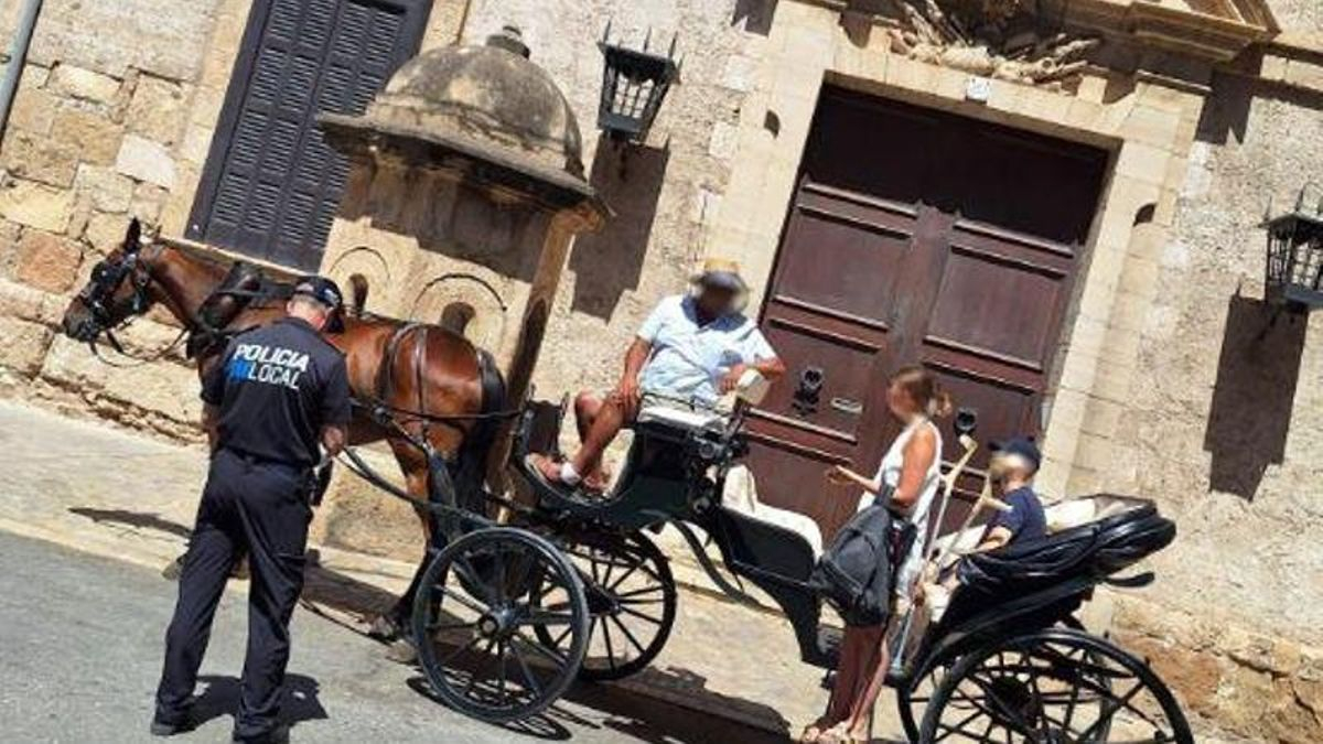 La polícia denuncia al conductor de la galera por pasear con altas temperaturas.