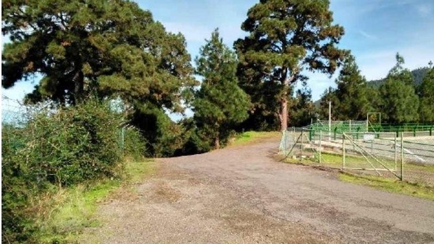 Camino La Represa, en La Orotava