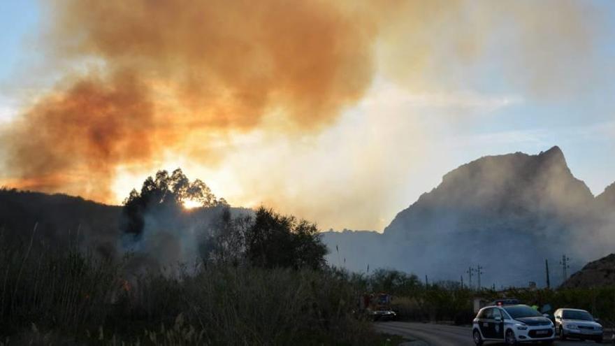 El pasado jueves volvieron a arder cañas y árboles en el margen izquierdo del río del paraje ciezano.