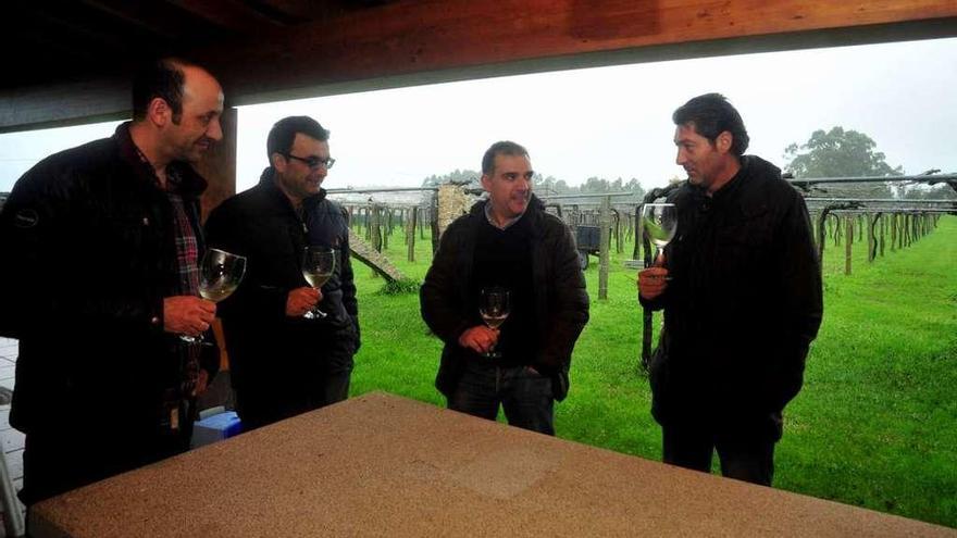 Julio Reboredo, a la derecha, con varios compañeros de la agrupación de viticultores Rías Baixas./ I.Abella