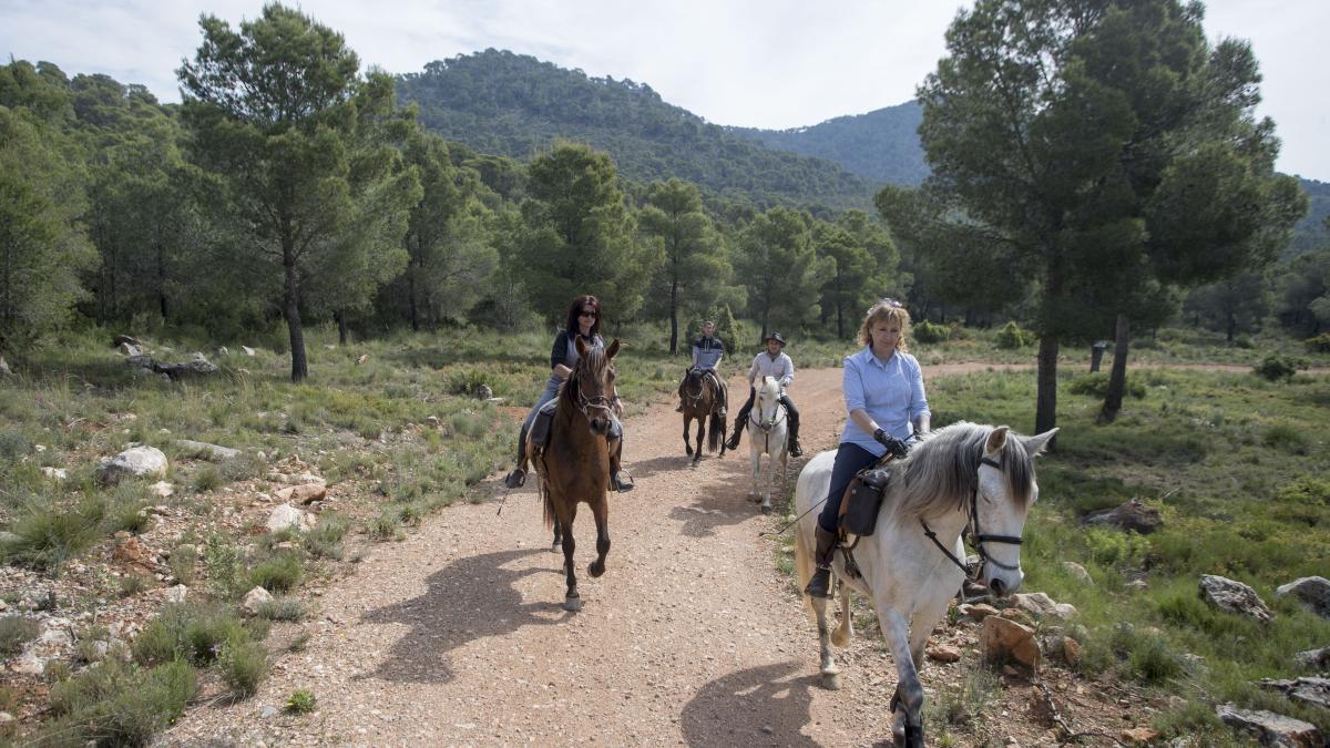 Merche, Maria José, Vicente y Nacho en una de las pistas forestales por donde discurre la ruta.  |