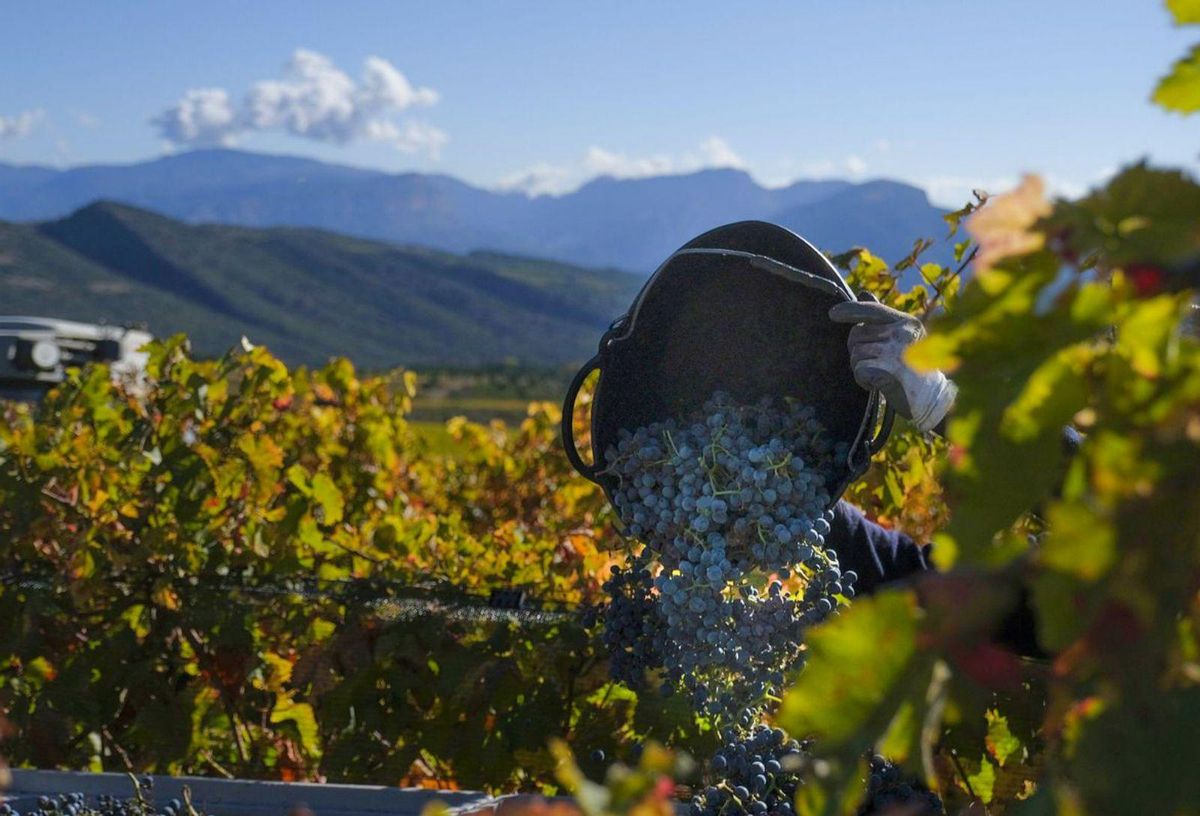 Del Penedès al Pirineu Del Penedès al Pirineu