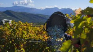 Del Penedès al Pirineu