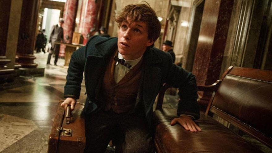 Eddie Redmayne en &#039;Animales fántasticos...&#039;.