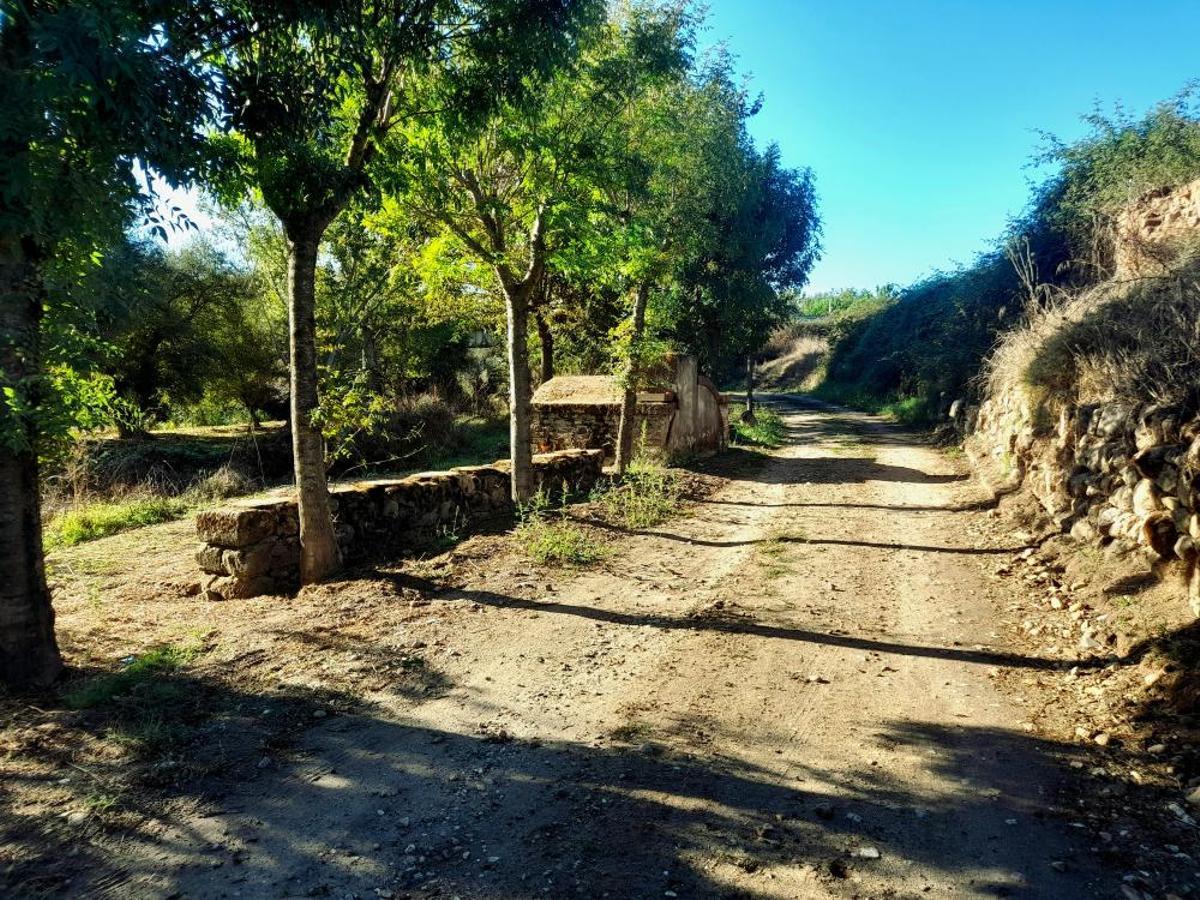 Galería | Así es Carcaboso, un pueblo de Cáceres Galería | Así es Carcaboso, un pueblo de Cáceres