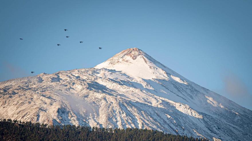 Involcan: 90 terremotos en Tenerife no implican erupción inminente
