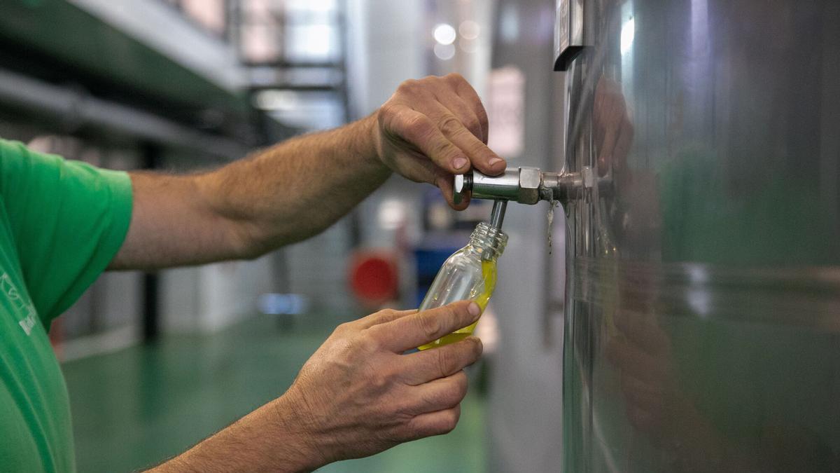 Un operario extrae una muestra de aceite de oliva en una almazara de la Subbética.