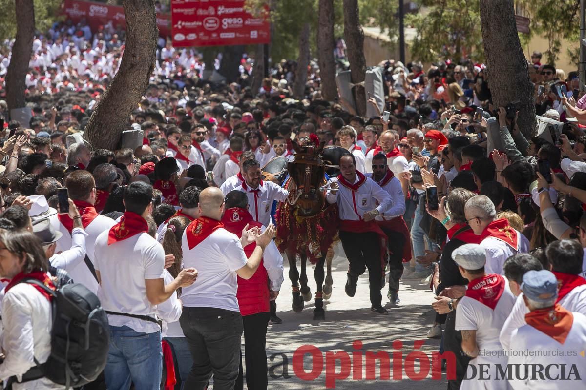 Así se ha vivido la carrera de los Caballos del Vino en Caravaca