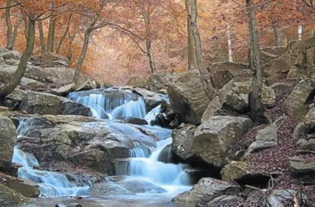 Cascada en el parc natural del Montseny
