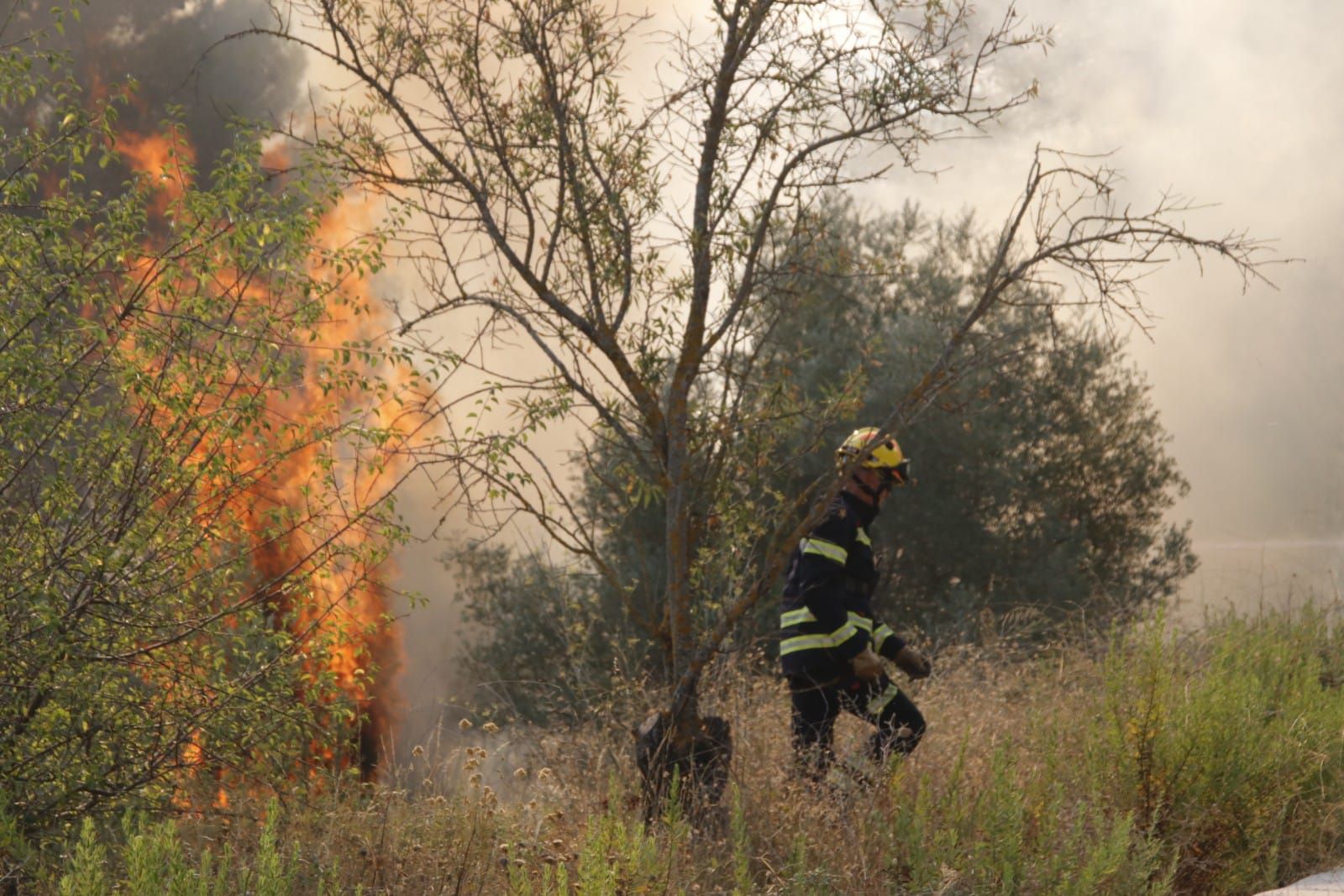 El incendio en la Vall d'Ebo calcina 2.200 hectáreas y se estudian desalojos