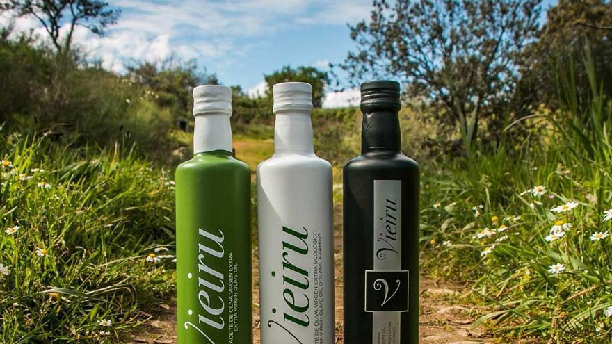 La manzanilla cacereña de Eljas, con Vieiru, se corona como el mejor aceite del mundo en la AOVE World Cup 2026