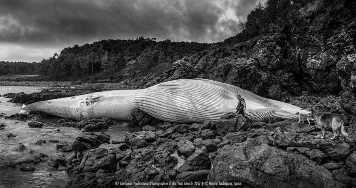 Marcos Rodríguez, el fotógrafo gallego al que nadie le tose en Europa