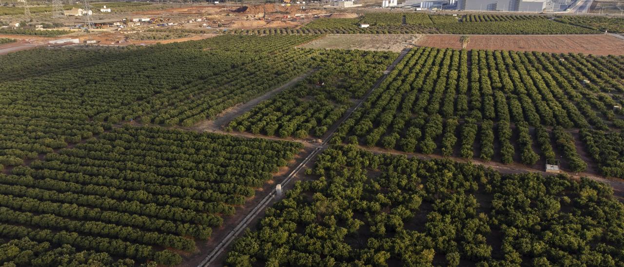 Terrenos donde se ubicará la gigafactoría y parte de la fotovoltaica que le suministrará energía.