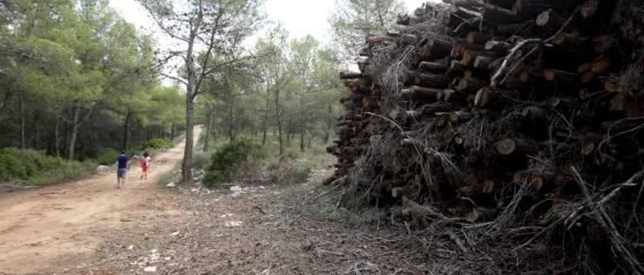 Enguera detalla incumplimientos «graves» de la UTE de la biomasa desde noviembre