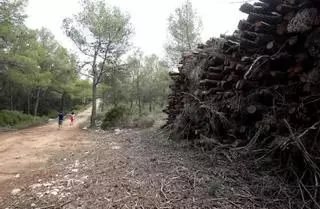 Enguera detalla incumplimientos «graves» de la UTE de la biomasa desde noviembre