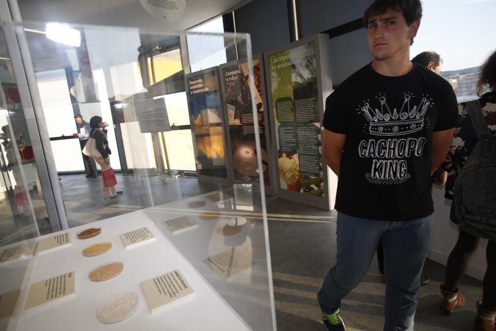 Exposición sobre acuicultura en el Niemeyer.