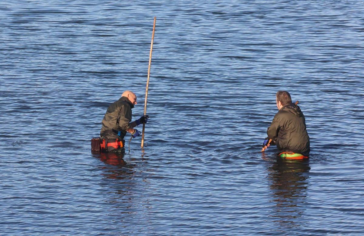 Los mariscadores a pie de la ría de O Burgo vuelven a faenar tras casi cuatro años de espera Los mariscadores a pie de la ría de O Burgo vuelven a faenar tras casi cuatro años de espera