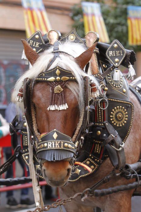 Sant Antoni en Valencia 2017