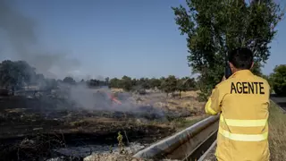 Balance de los incendios en Extremadura: el Infoex cifra 27 fuegos en la última semana