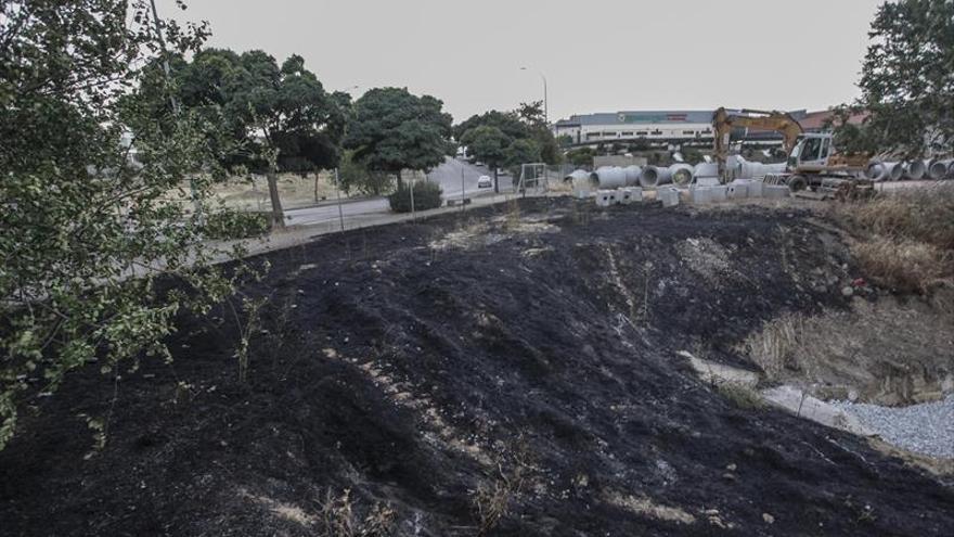 Incendio en la Mejostilla