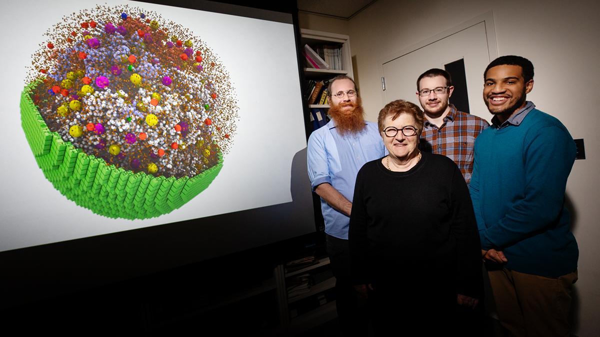 Al fondo, imagen de la célula virtual en 3D, junto a sus creadores (de izquierda a derecha), Zane Thornburg, Zaida (Zan) Luthey-Schulten, Benjamin Gilbert y Troy Brier.