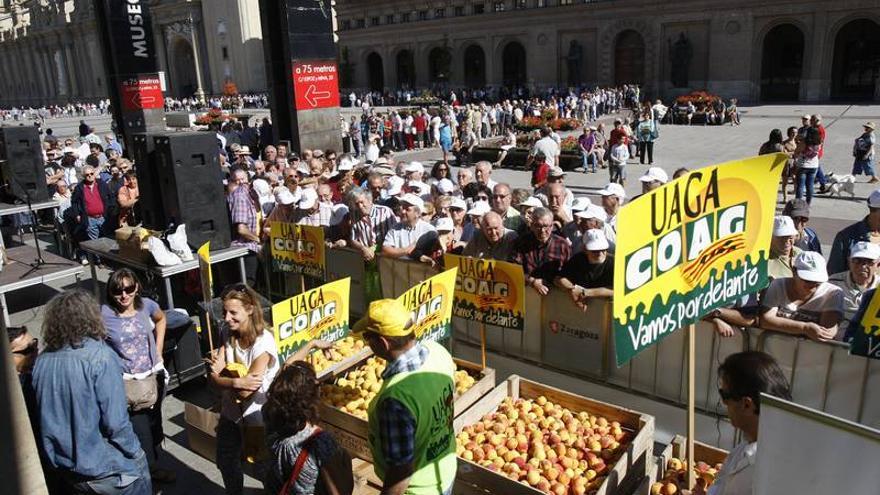 La caída de precios castiga al campo aragonés en el peor año de la crisis