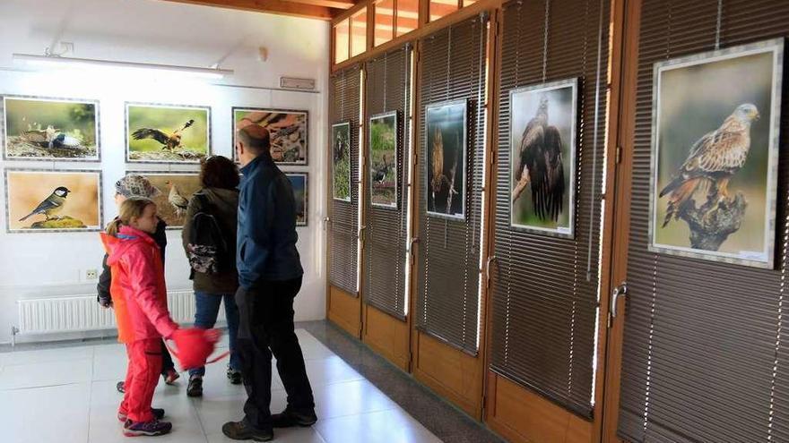 Un grupo de turistas en la exposición de Carlos Abejón en la Casa del Parque de Fermoselle.