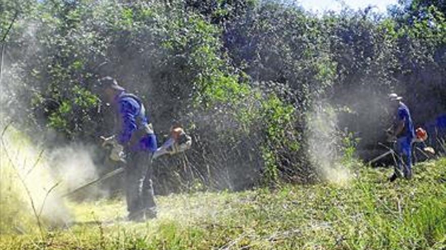 Onda limpia cauces y desagües para prevenir inundaciones e incendios