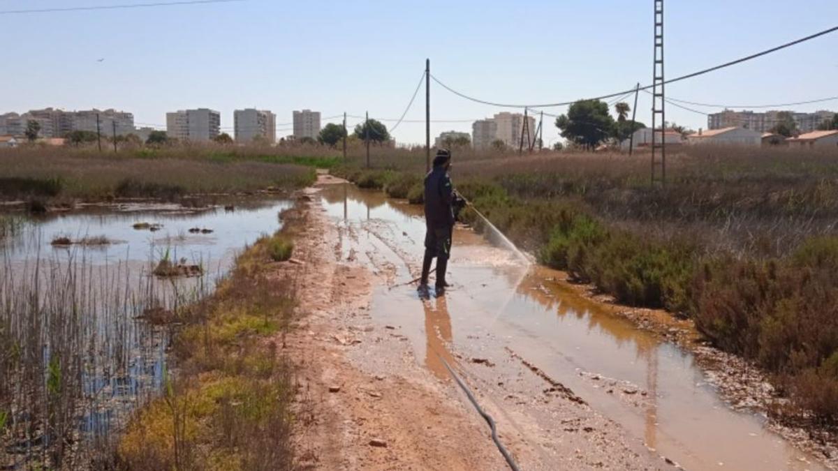 Un operario fumiga en una zona con aguas estancadas en Benicàssim. | MEDITERRÁNEO