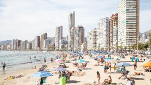 "L'estiu de la nostra vida"